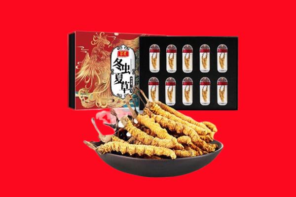 河口区回收虫草